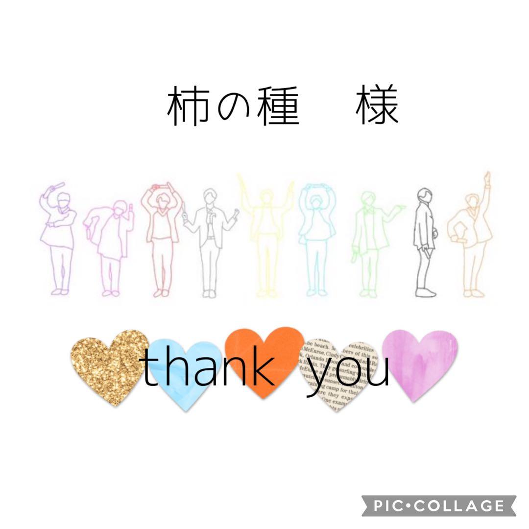 柿の種様