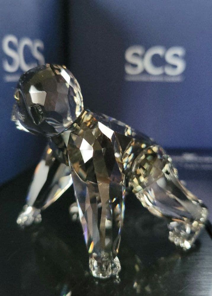Swarovski　スワロフスキー　ゴリラの赤ちゃん　オリジナルボックス付き