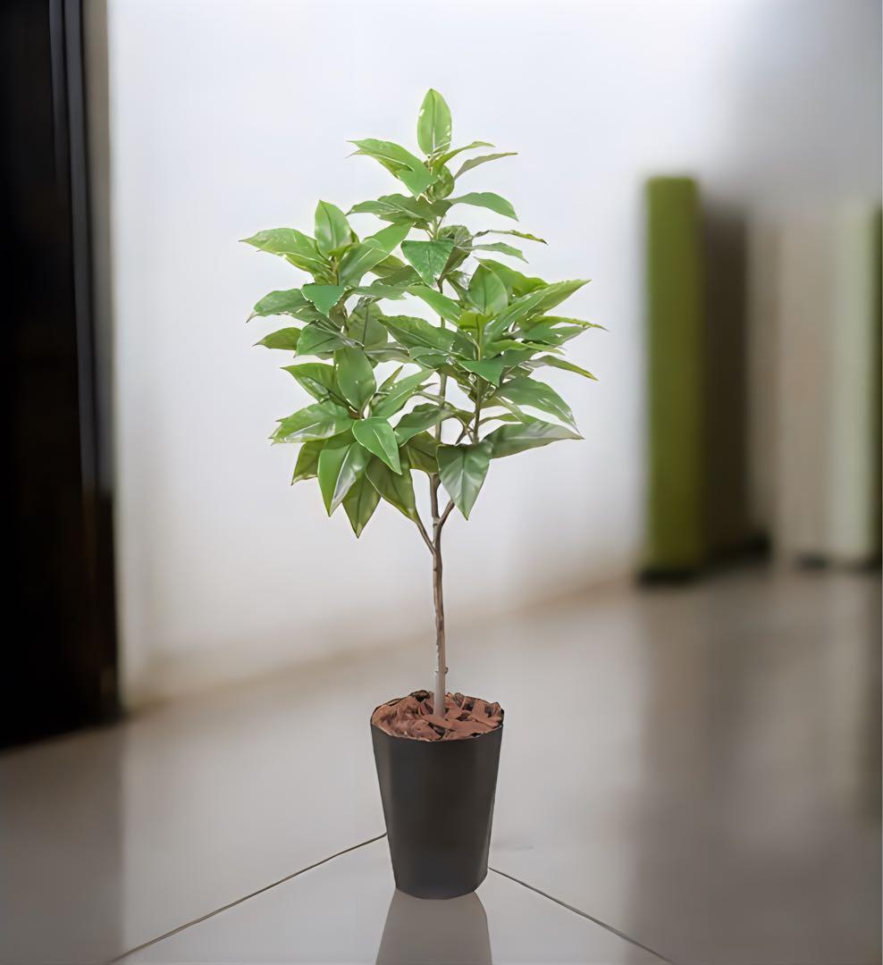 光触媒　人工観葉植物　ウォールグリーン　フィカスグリーン　フィカスフロリス