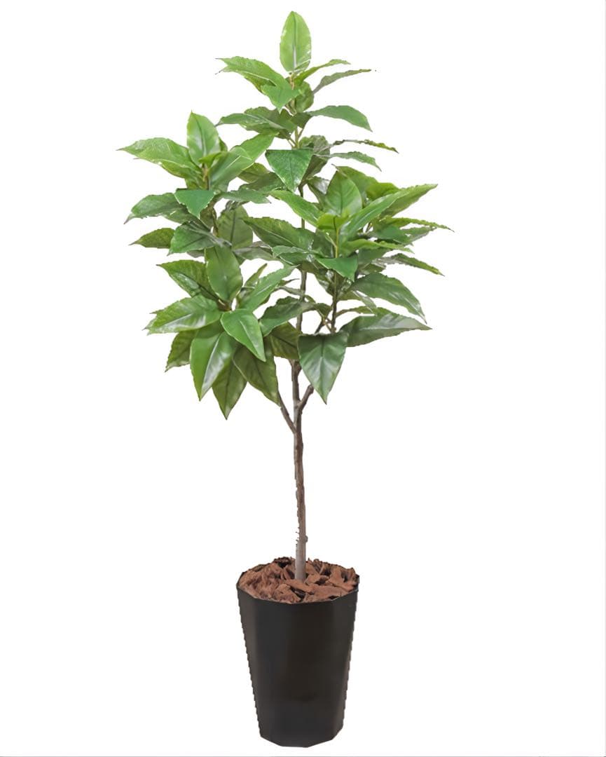 光触媒　人工観葉植物　ウォールグリーン　フィカスグリーン　フィカスフロリス