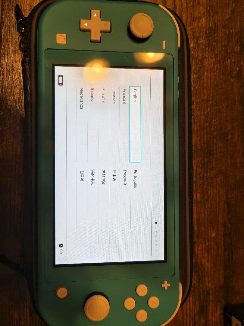 Switch Lite ターコイズ 本体のみ（ケース付き）