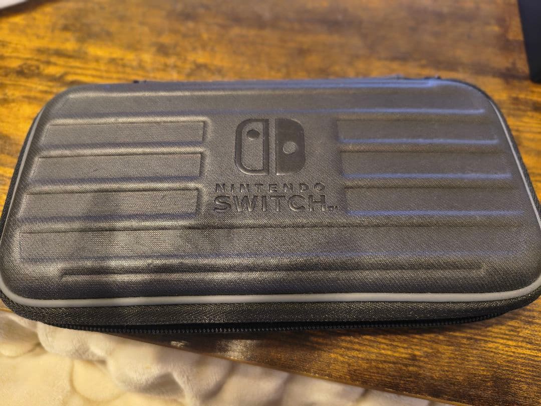 Switch Lite ターコイズ 本体のみ（ケース付き）