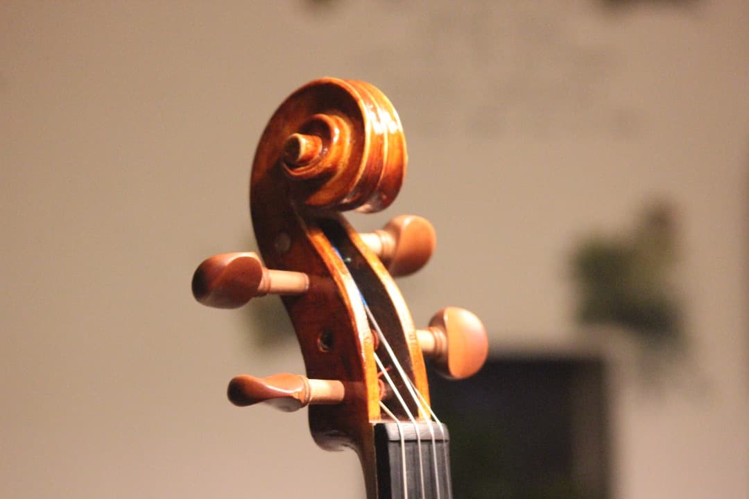 【12/18更新あり.製作楽器⑤】バイオリン(メディチモデル)　4/4 2014