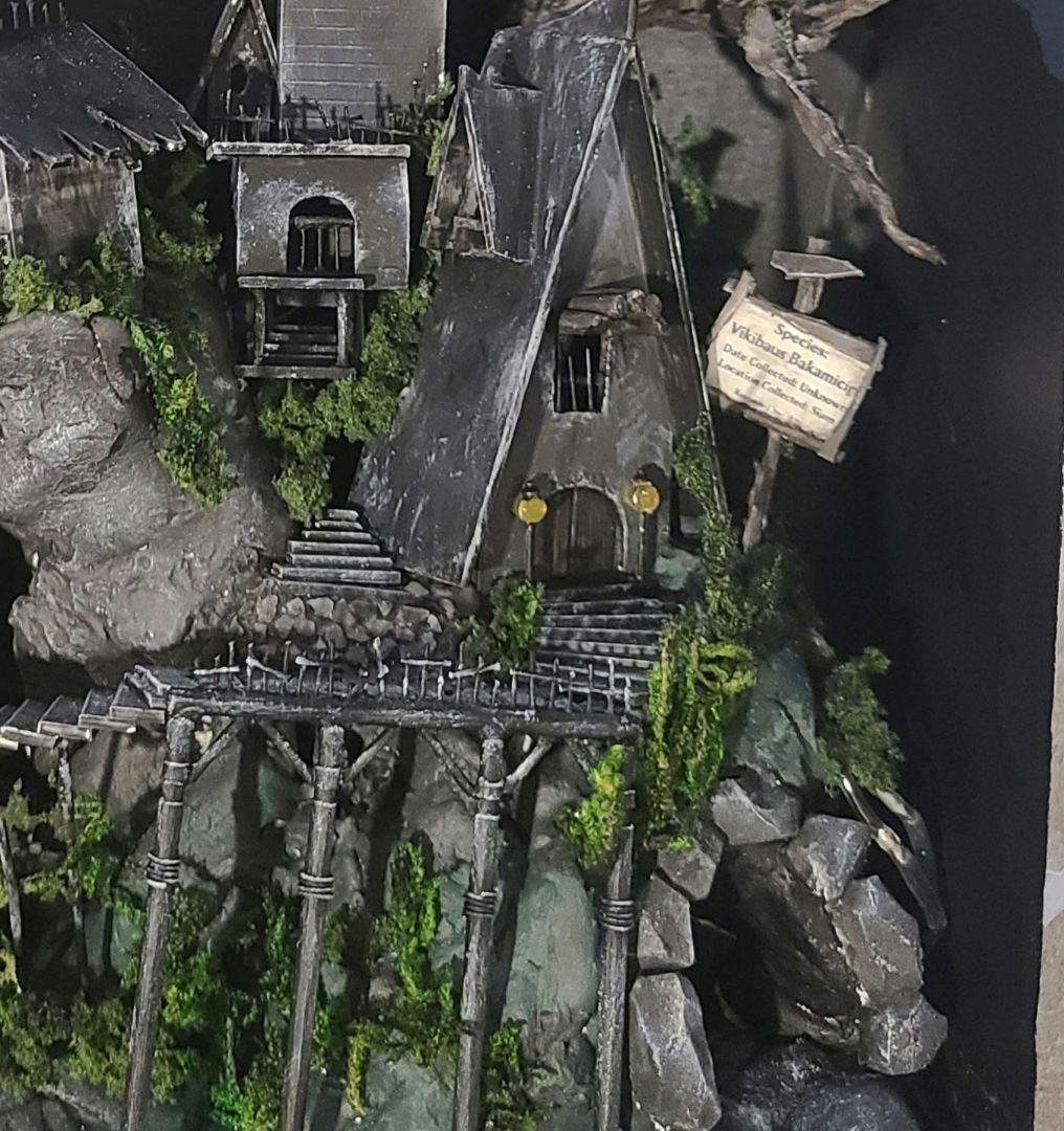 オリジナル標本箱+シャムオオキバノコギリカミキリ