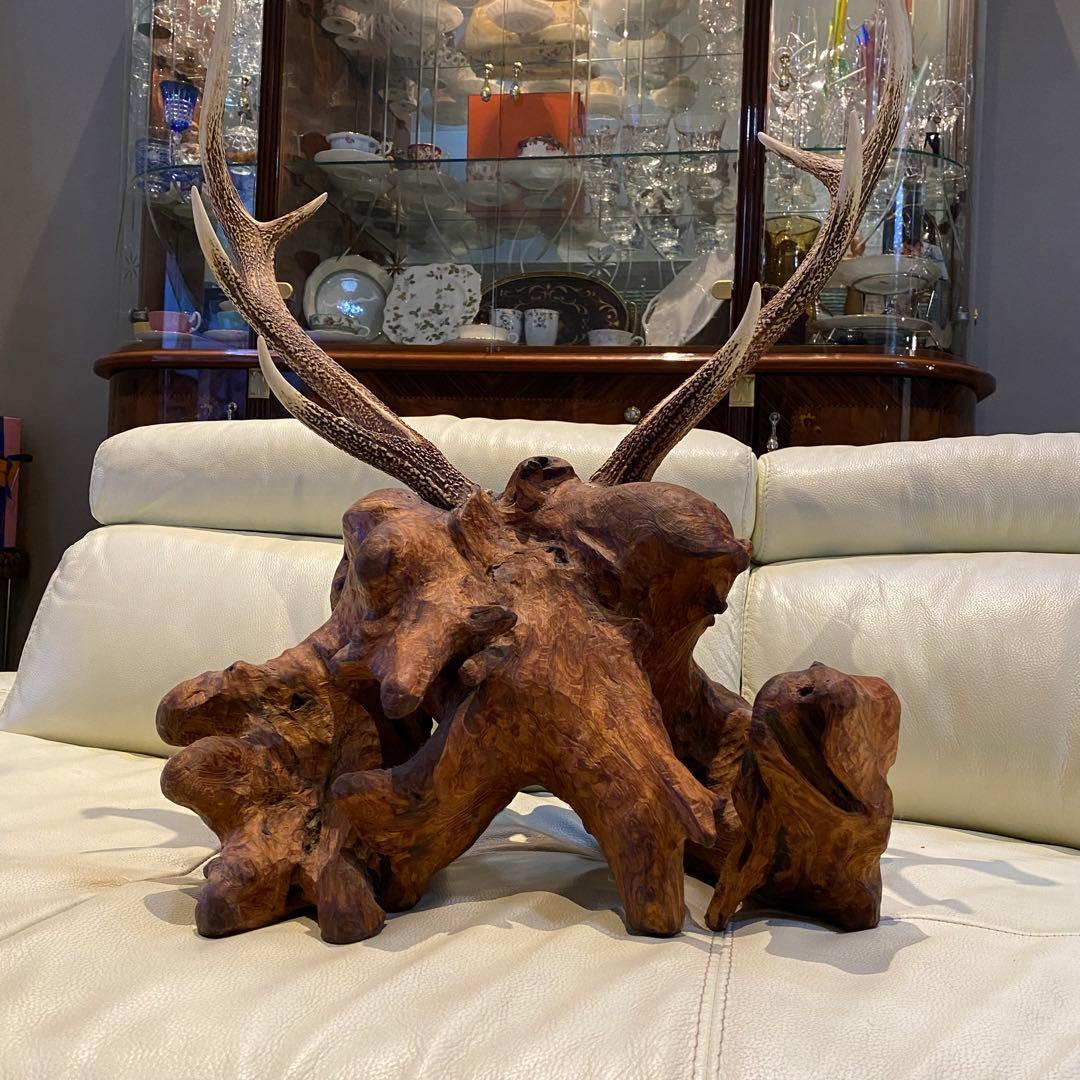 大幅値下げ！鹿の角オブジェ