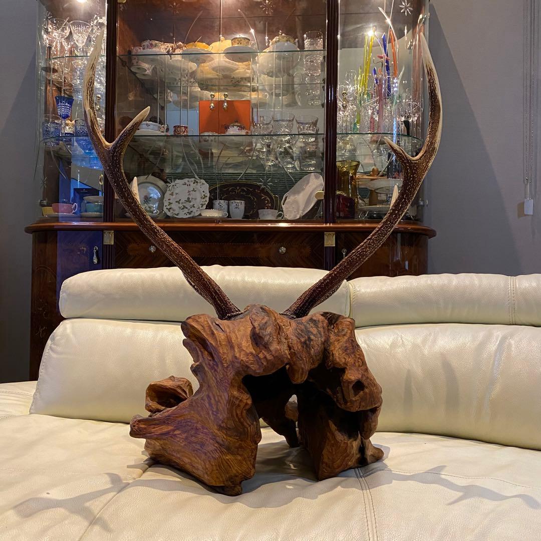 大幅値下げ！鹿の角オブジェ