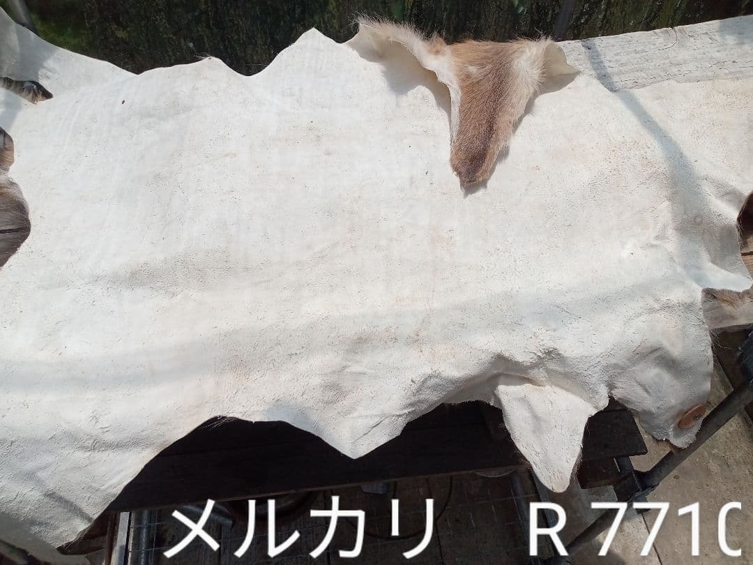 天然日本鹿の夏毛　ラグ