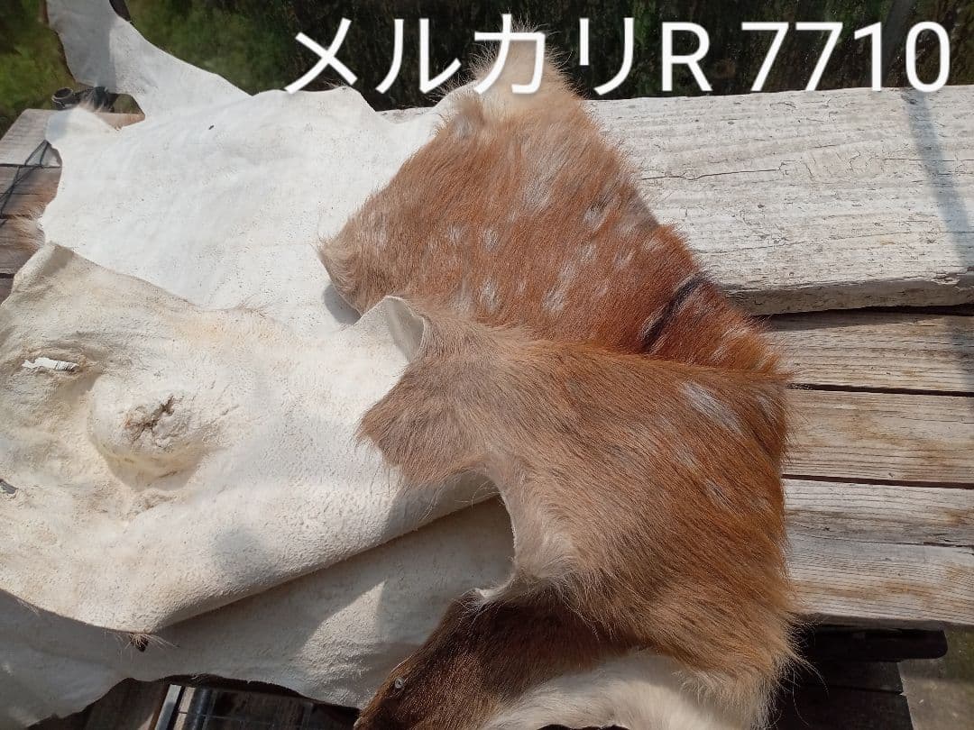 天然日本鹿の夏毛　ラグ