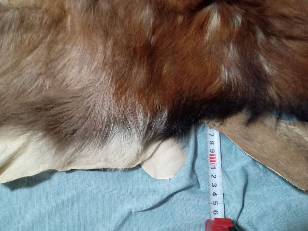 天然日本鹿の夏毛　ラグ