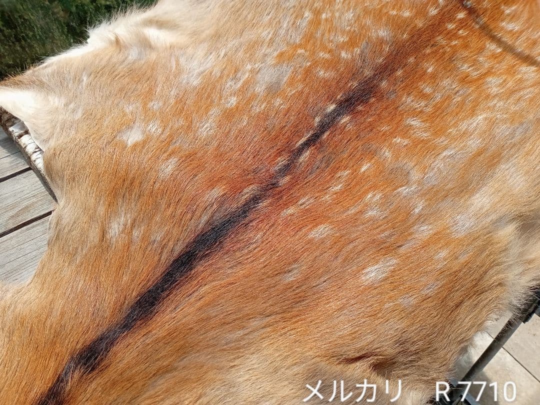 天然日本鹿の夏毛　ラグ