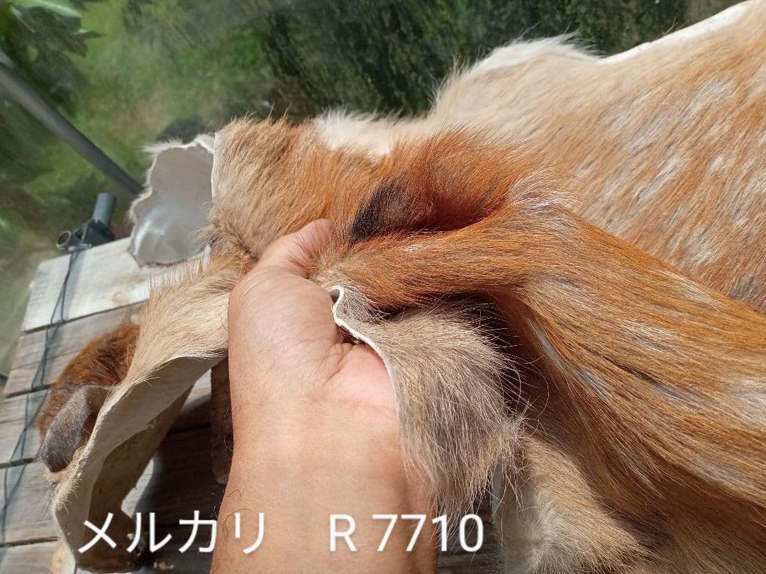 天然日本鹿の夏毛　ラグ