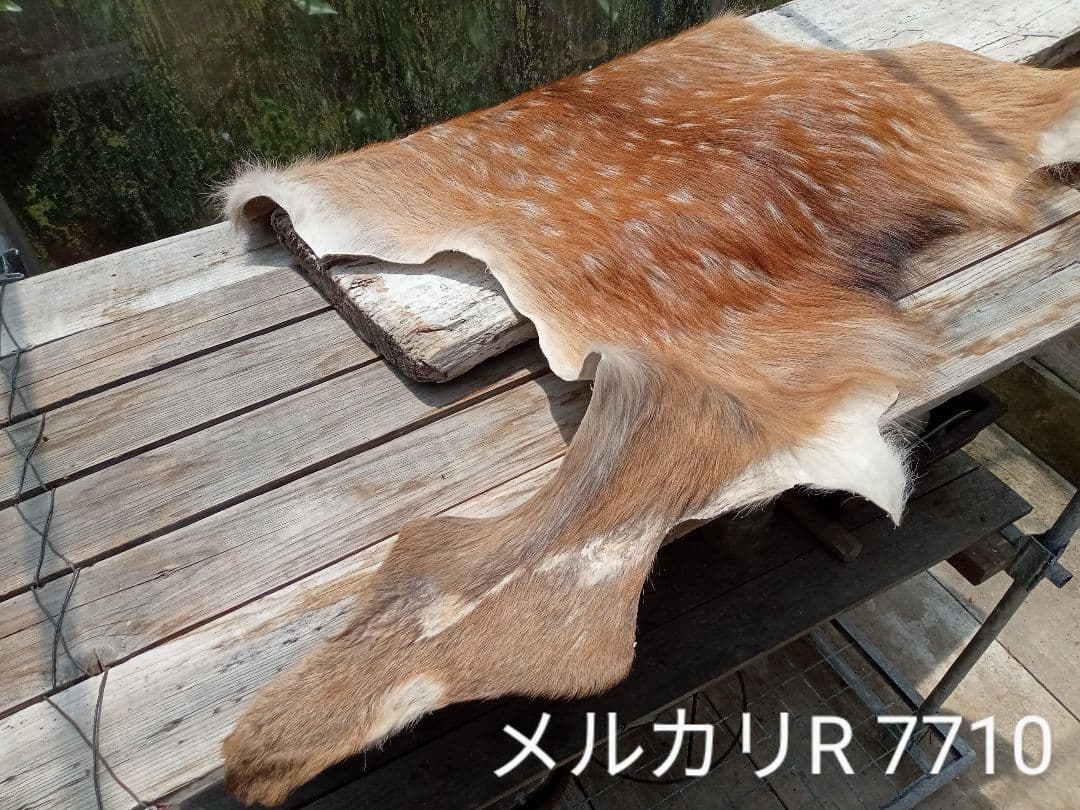 天然日本鹿の夏毛　ラグ