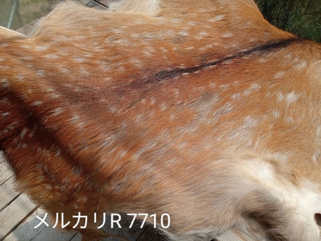 天然日本鹿の夏毛　ラグ