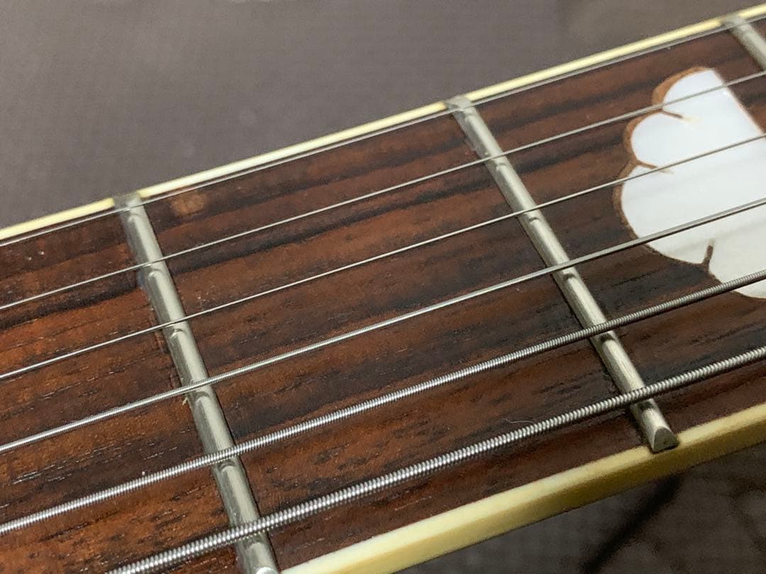 フォトジェニック Photo Genic モッキンバード エレキギター hide