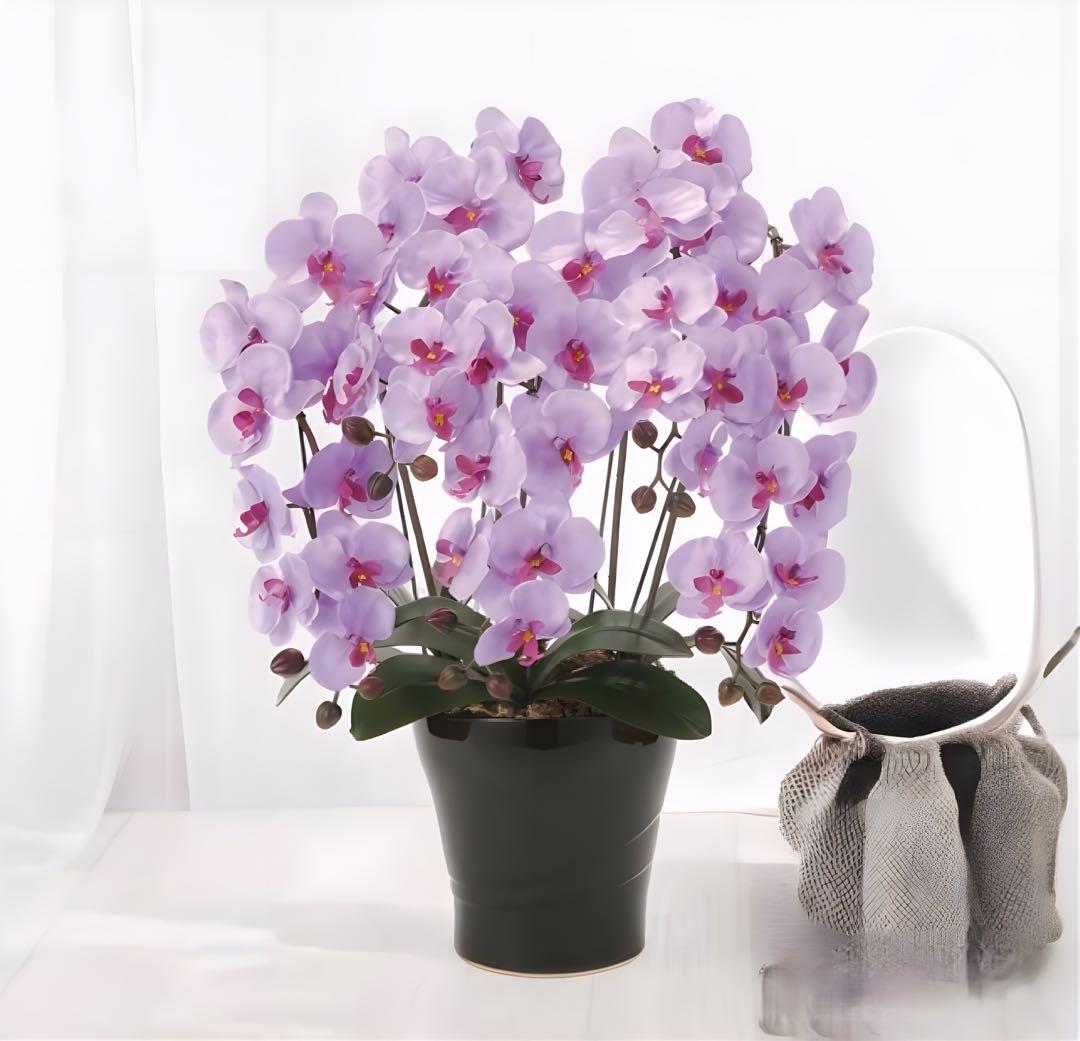 光触媒　人工観葉植物　ウォールグリーン　フェイクグリーン　クイーン胡蝶蘭5本立L