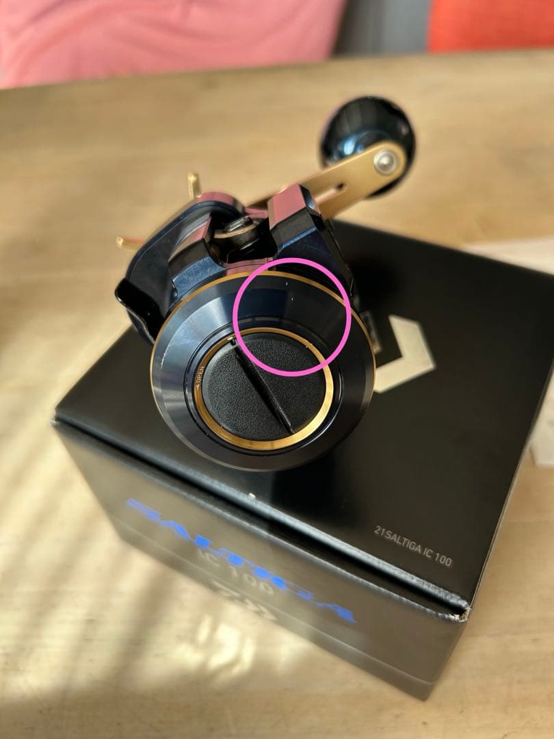 21 ソルティガIC 100 ベイトリール