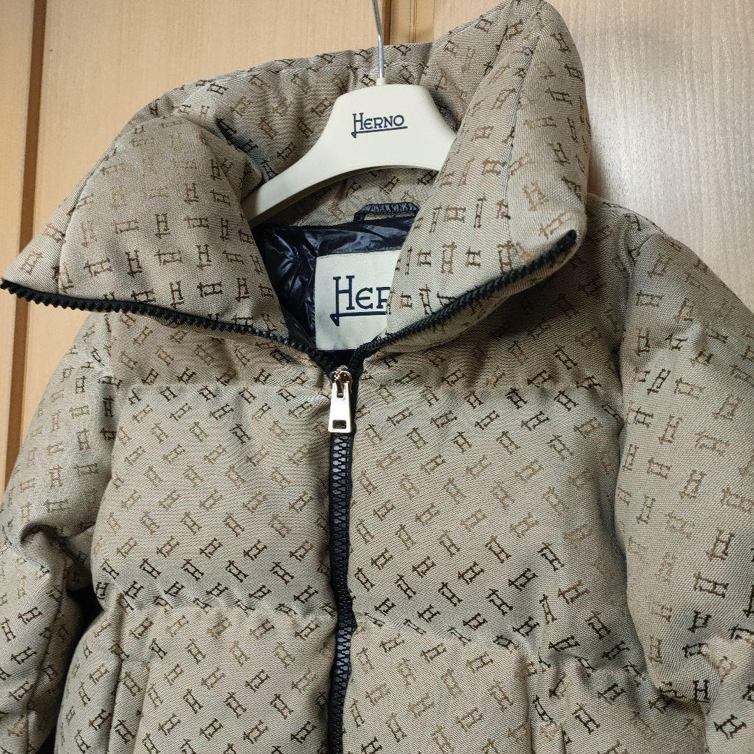 極美品✨HERNO ヘルノ Hモノグラム ダウンジャケット 44