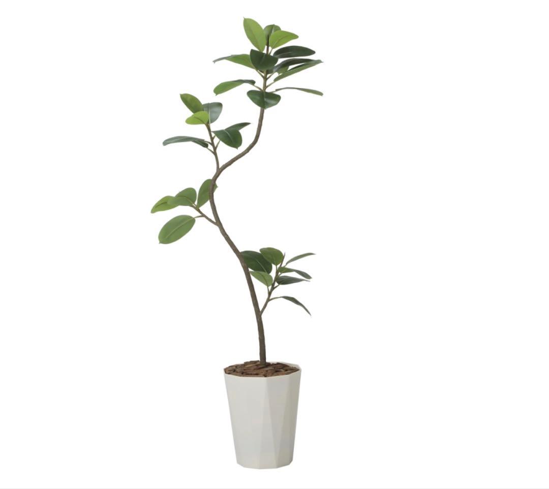 光触媒　観葉植物　ウォールグリーン　フェイクグリーン　フレッシュツイストゴムの木