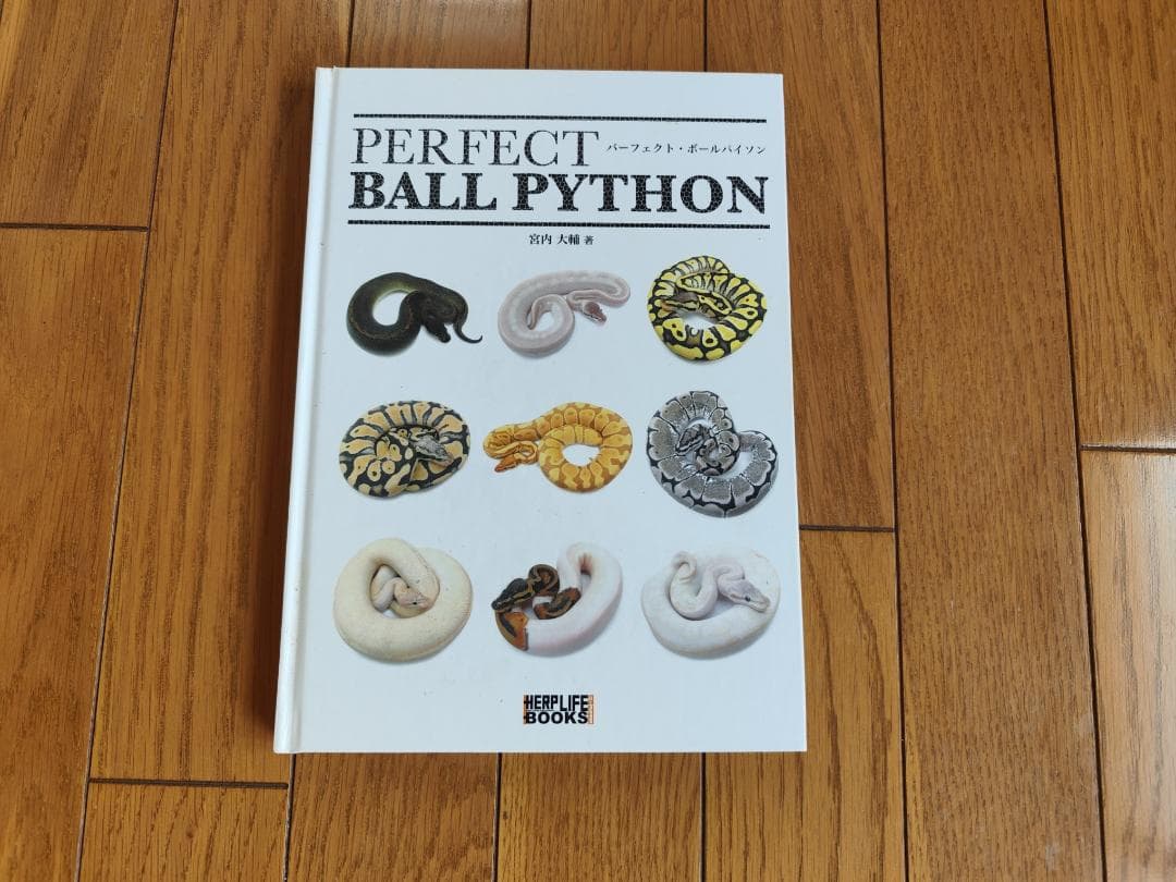 PERFECT BALL PYTHON　パーフェクトボールパイソン