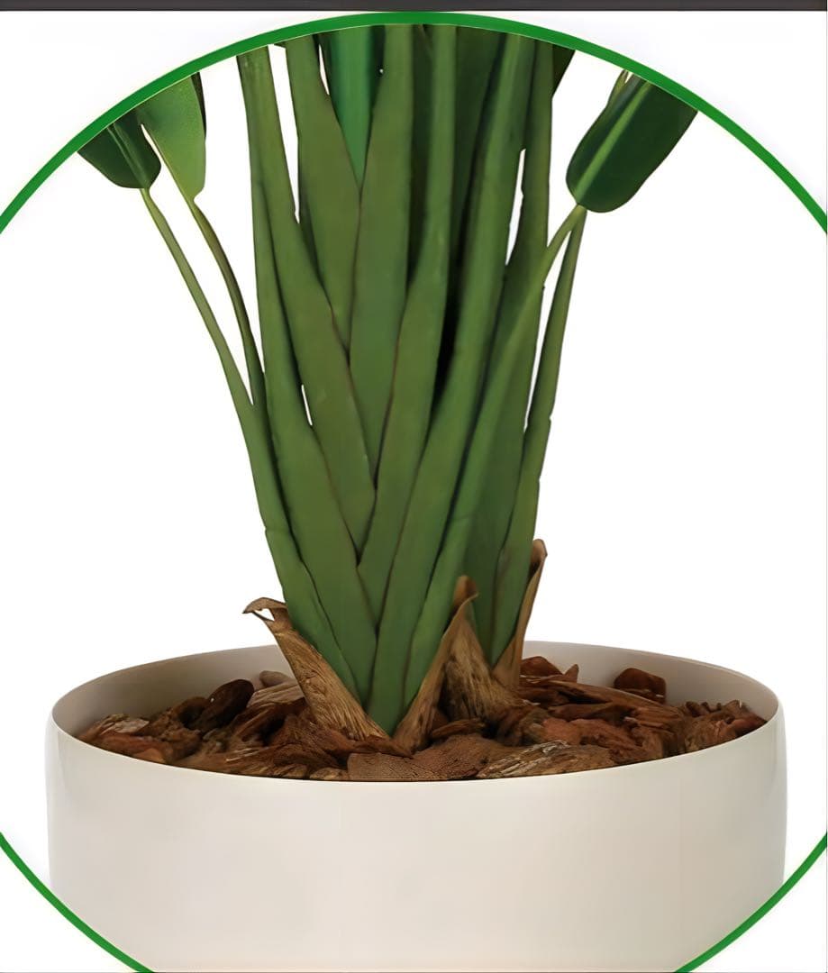 光触媒　人工観葉植物　ウォールグリーン　トラベラーズパーム170