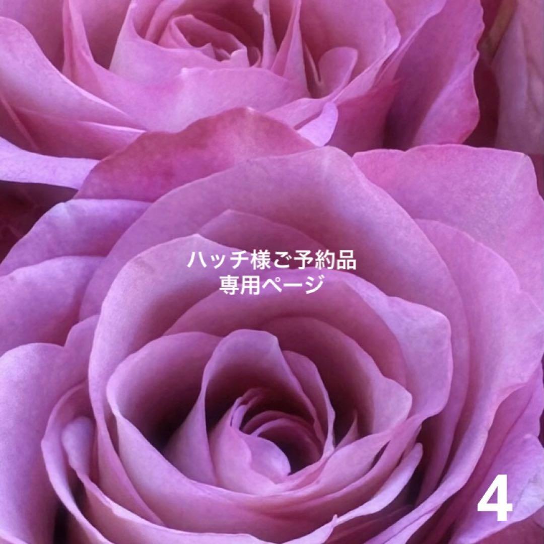 ハッチ様ご予約品おまとめページ　4枚