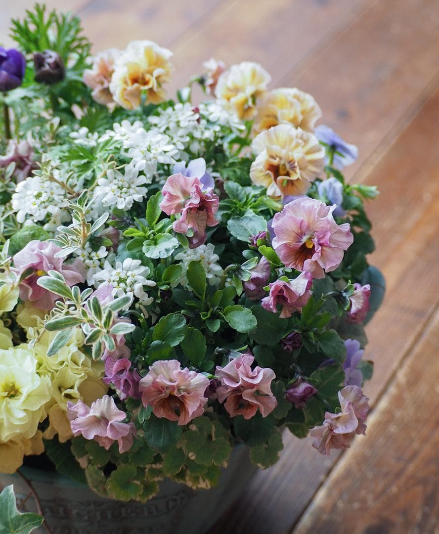 アンティークな大人ピンクの寄せ植え