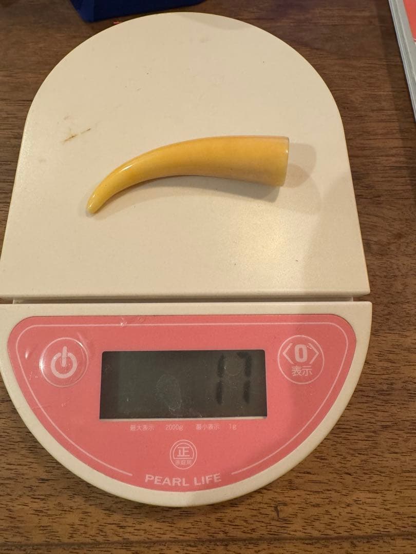 鯨　歯　鯨歯　希少