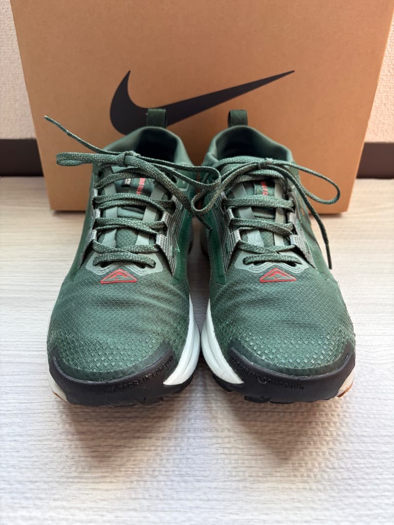 【極美品】Nike PEGASUS TRAIL 5 　ゴアテックス 26.0箱付