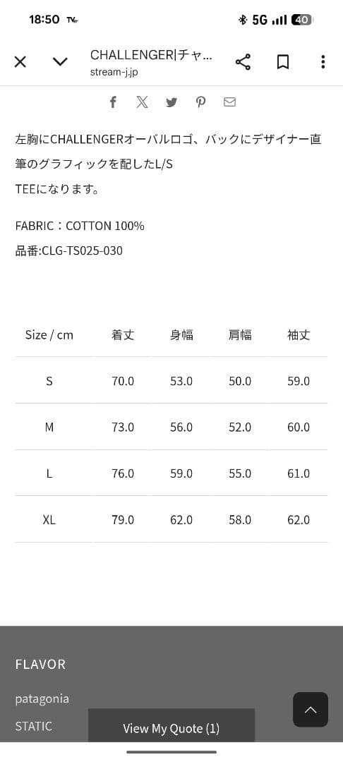 Challengerチャレンジャーロンt新品