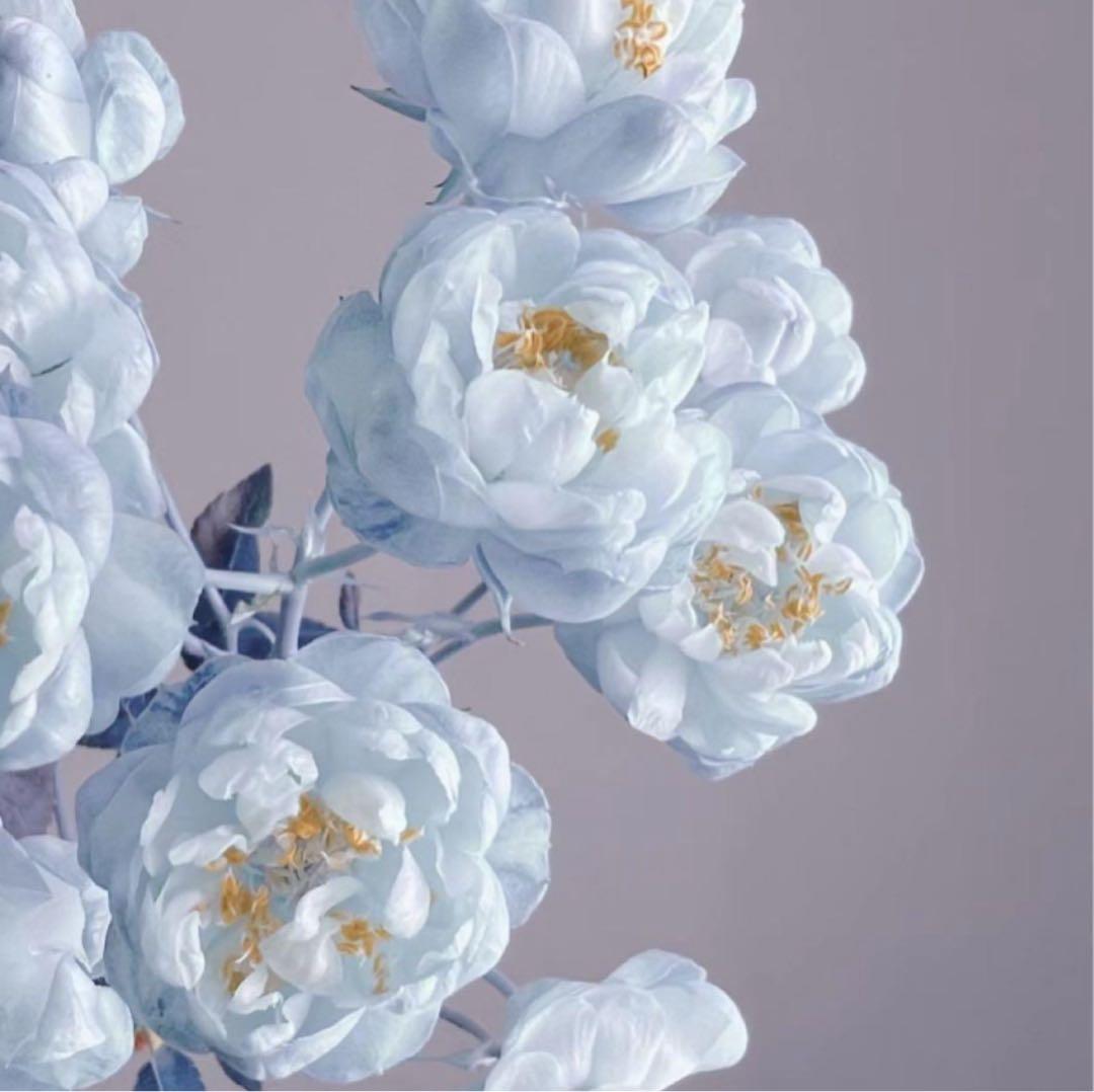 菊池ジャケット