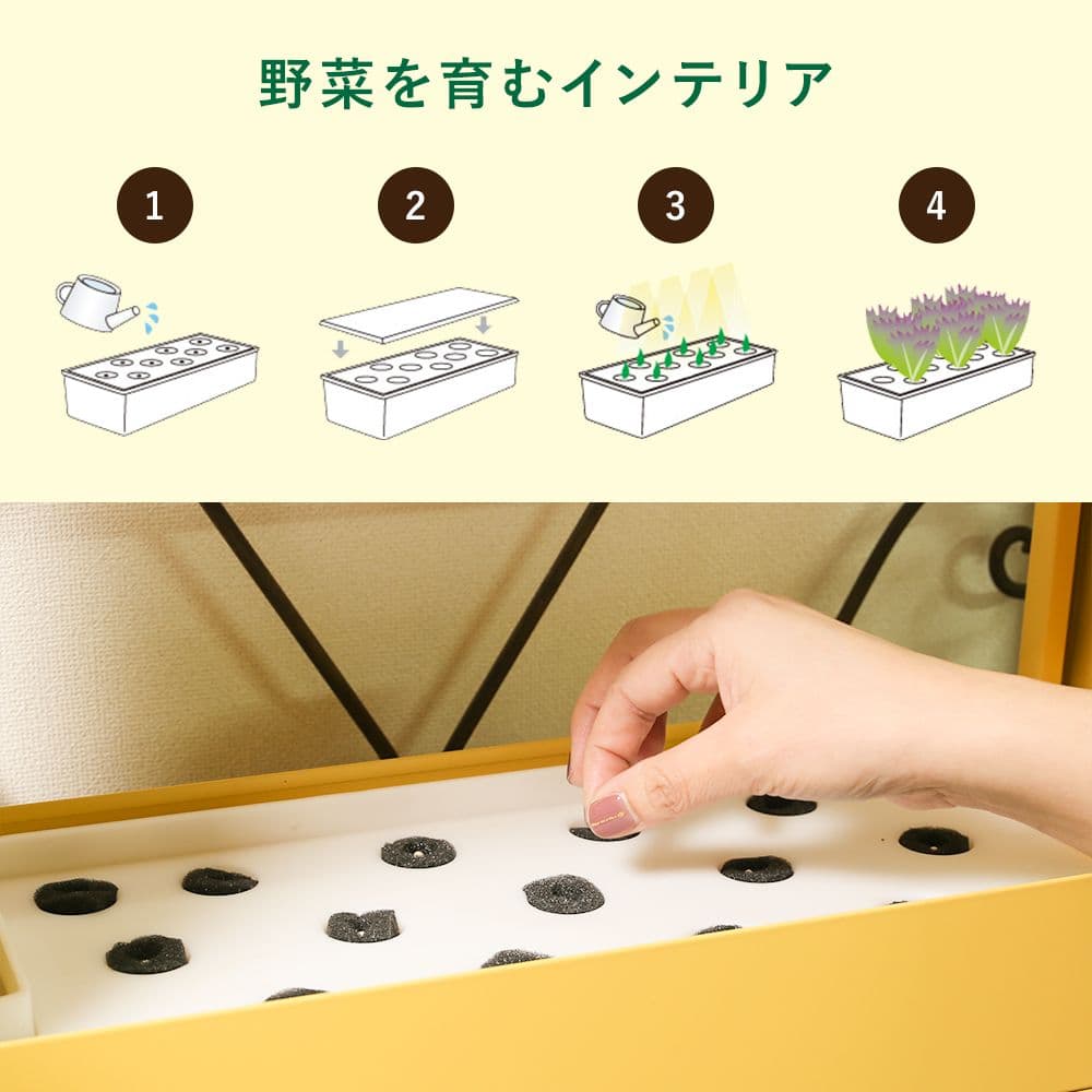【新品】MotoM 灯菜 Akarina アイボリー OMA05 水耕栽培キット