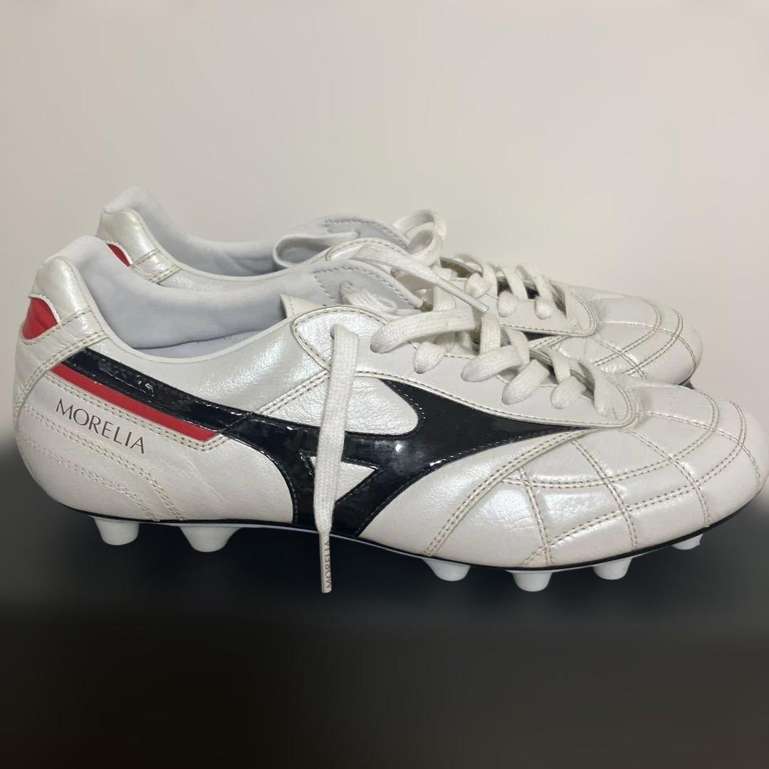 【モレリア2 JAPAN】クロスステッチ 25.5cm