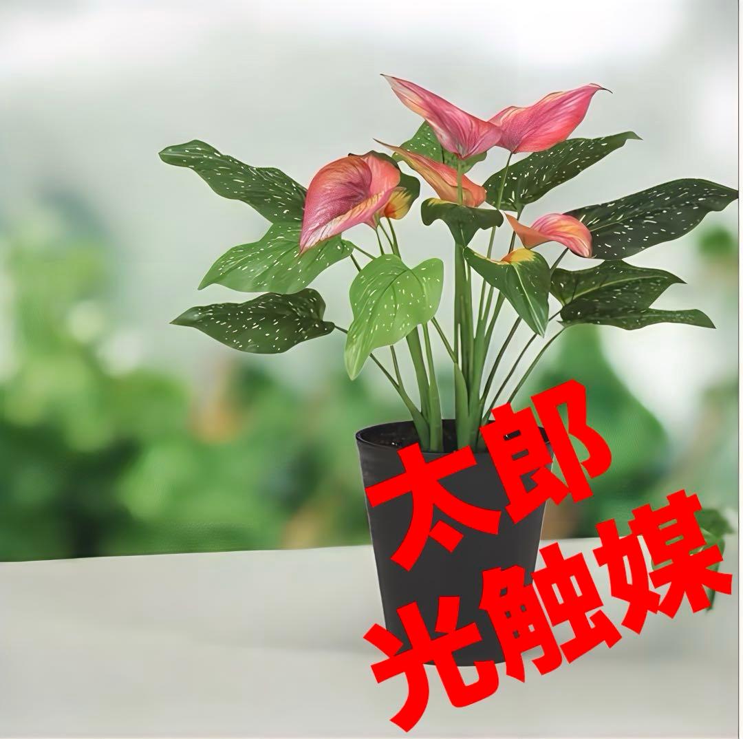 光触媒　人工観葉植物　ウォールグリーン　フェイクグリーン　東北カラー55