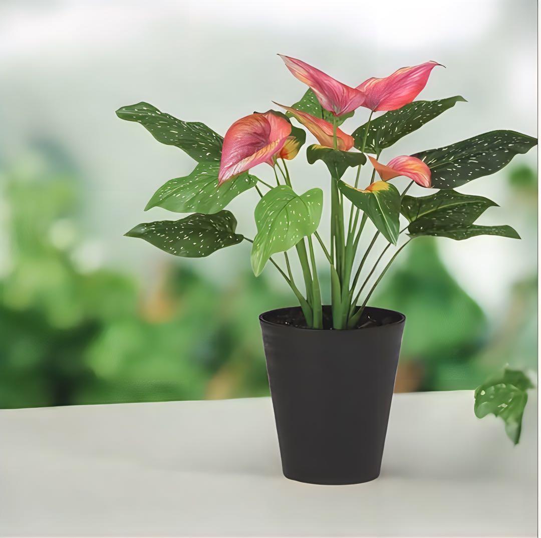 光触媒　人工観葉植物　ウォールグリーン　フェイクグリーン　東北カラー55