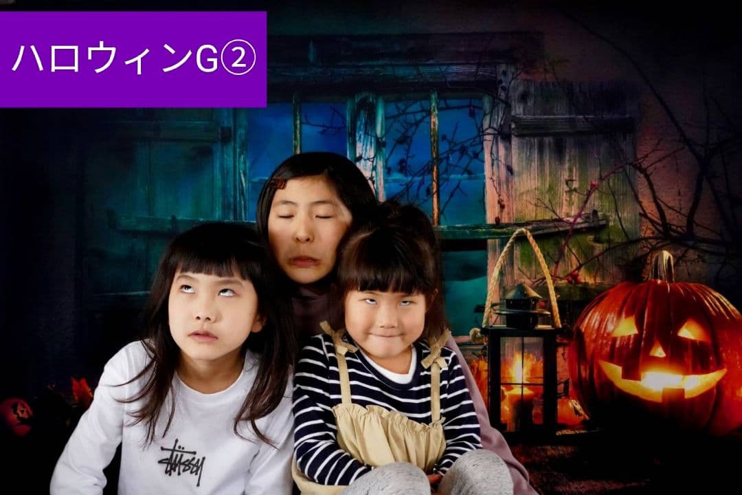 業務用フェルトトリミングチョーカー+背景布　ハロウィン　クリスマス　撮影用ブース