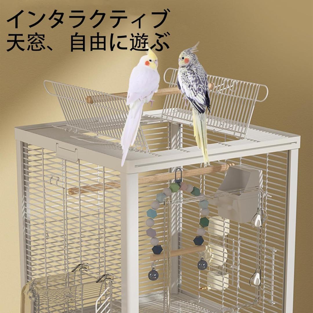 Ruexue鳥かご 透明アクリル扉 シングルレイヤー（45x45x57.5cm）
