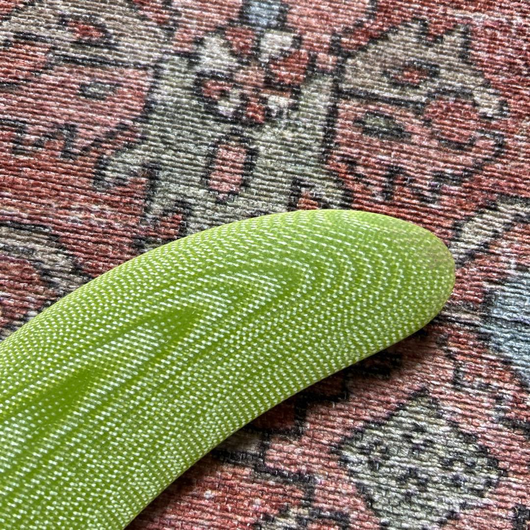 サーフィン・ボディボード CaptainFin ALEX KNOST BMT V2 9.25