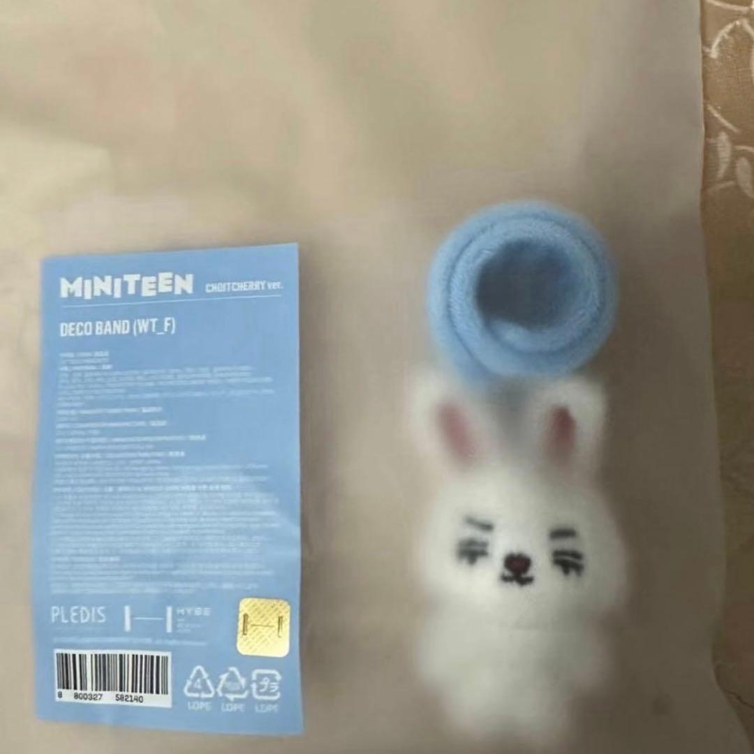 SEVENTEEN セブチ MINITEEN エスクプス デコバンド