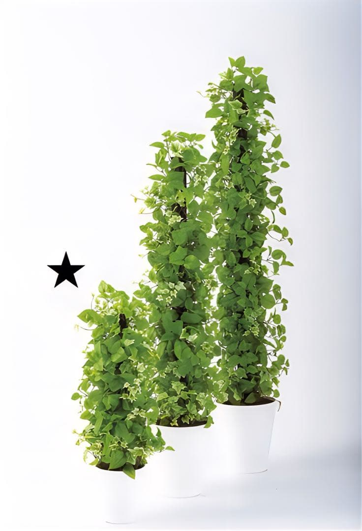 光触媒　人工観葉植物　ウォールグリーン　フェイクグリーン　MIXヘゴライム