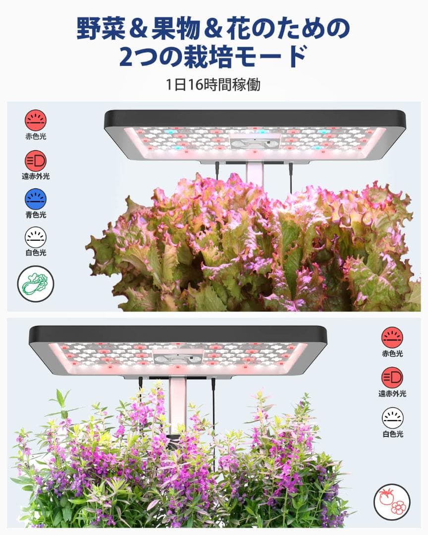 セット 室内 植物育成LEDライト付き 水耕栽培