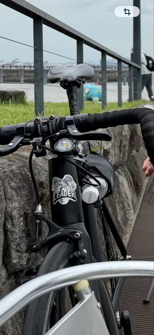 LEADER735 ピストバイク ブラック Lサイズ