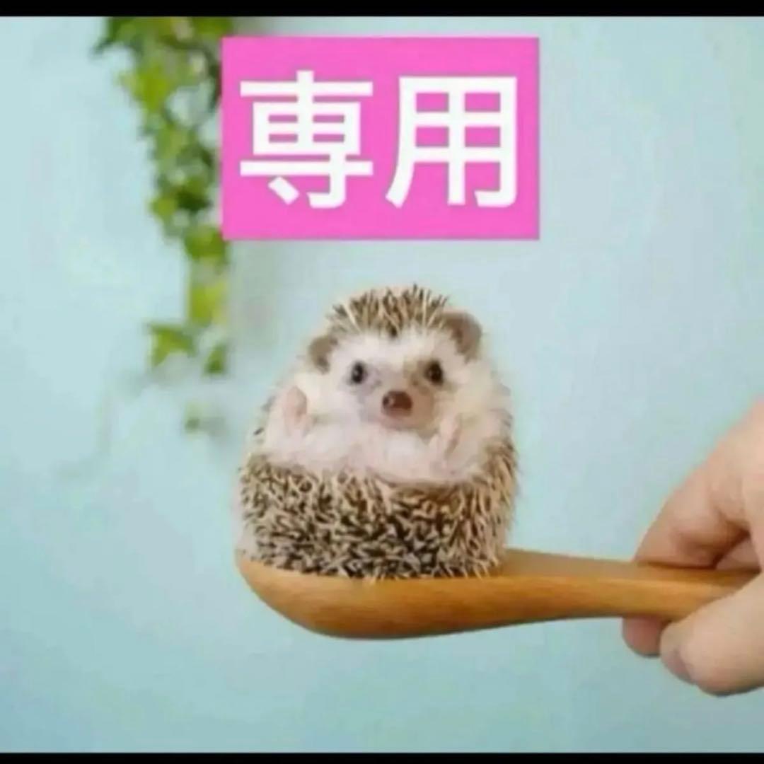 2点、ジャドールパルファンドー