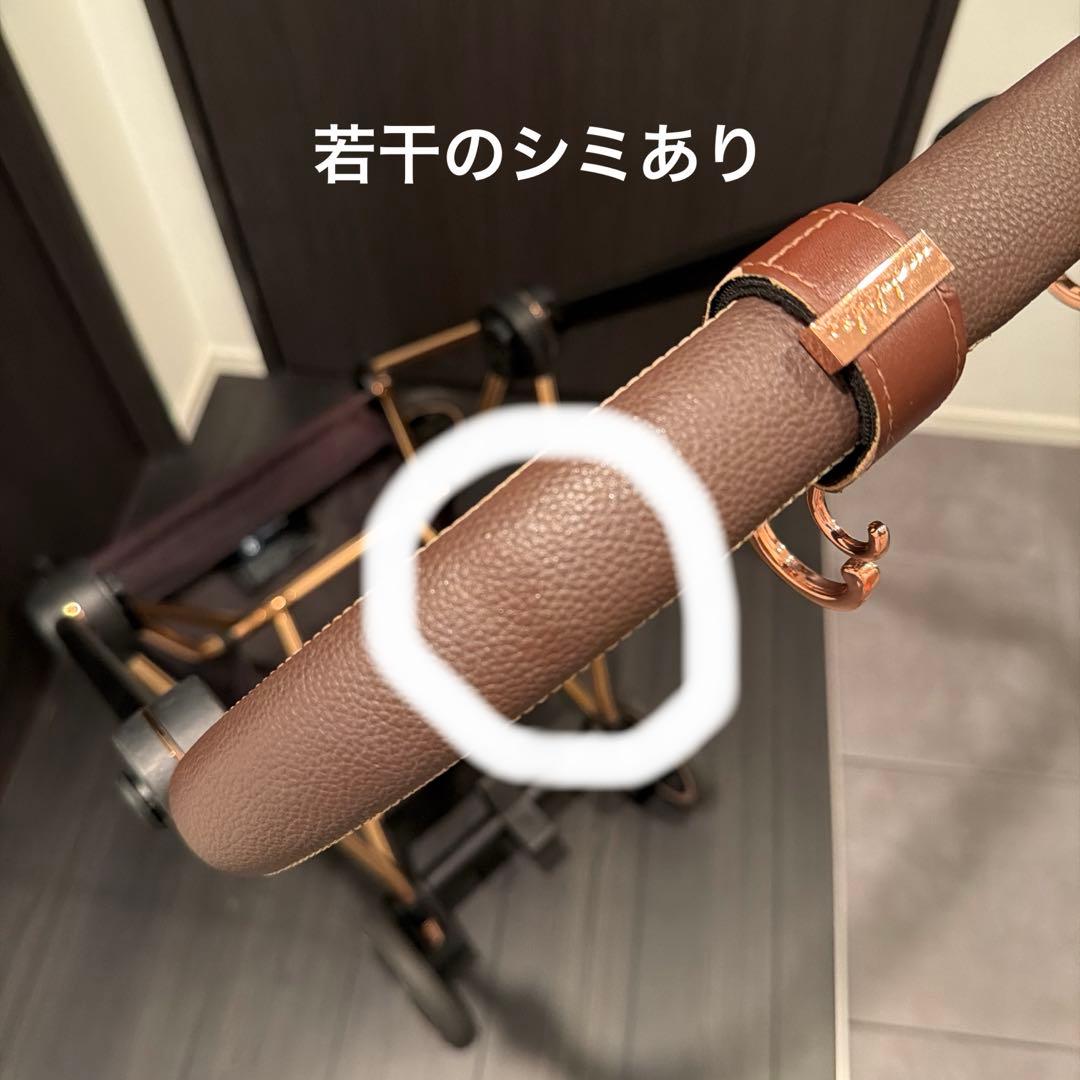 g*y様 【4ヶ月間使用】Cybex MIOS 旧型フレームのみ ローズゴールド