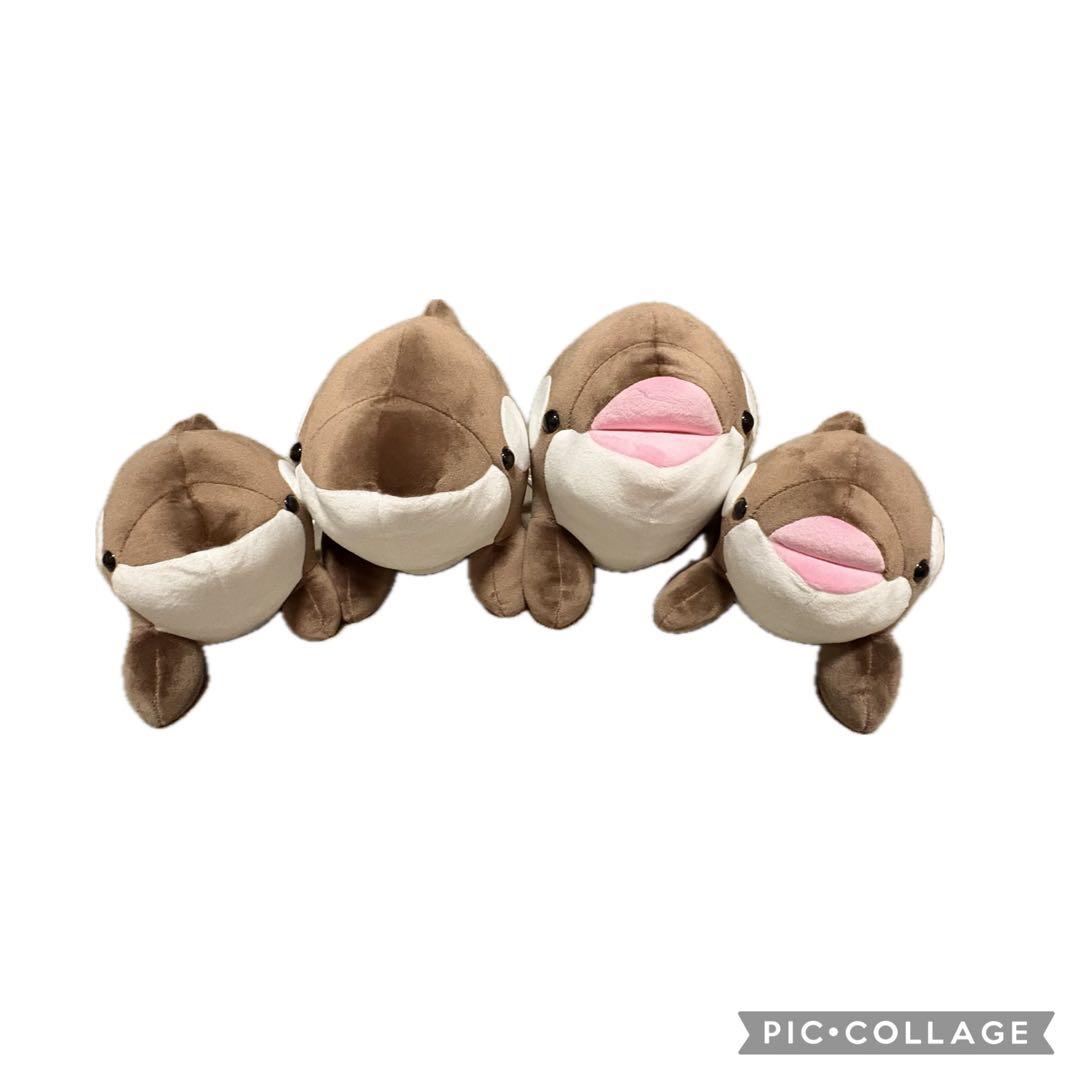 早いもの勝ち！　神戸須磨シーワールド　バレンタイン限定 コンプリート４点セット