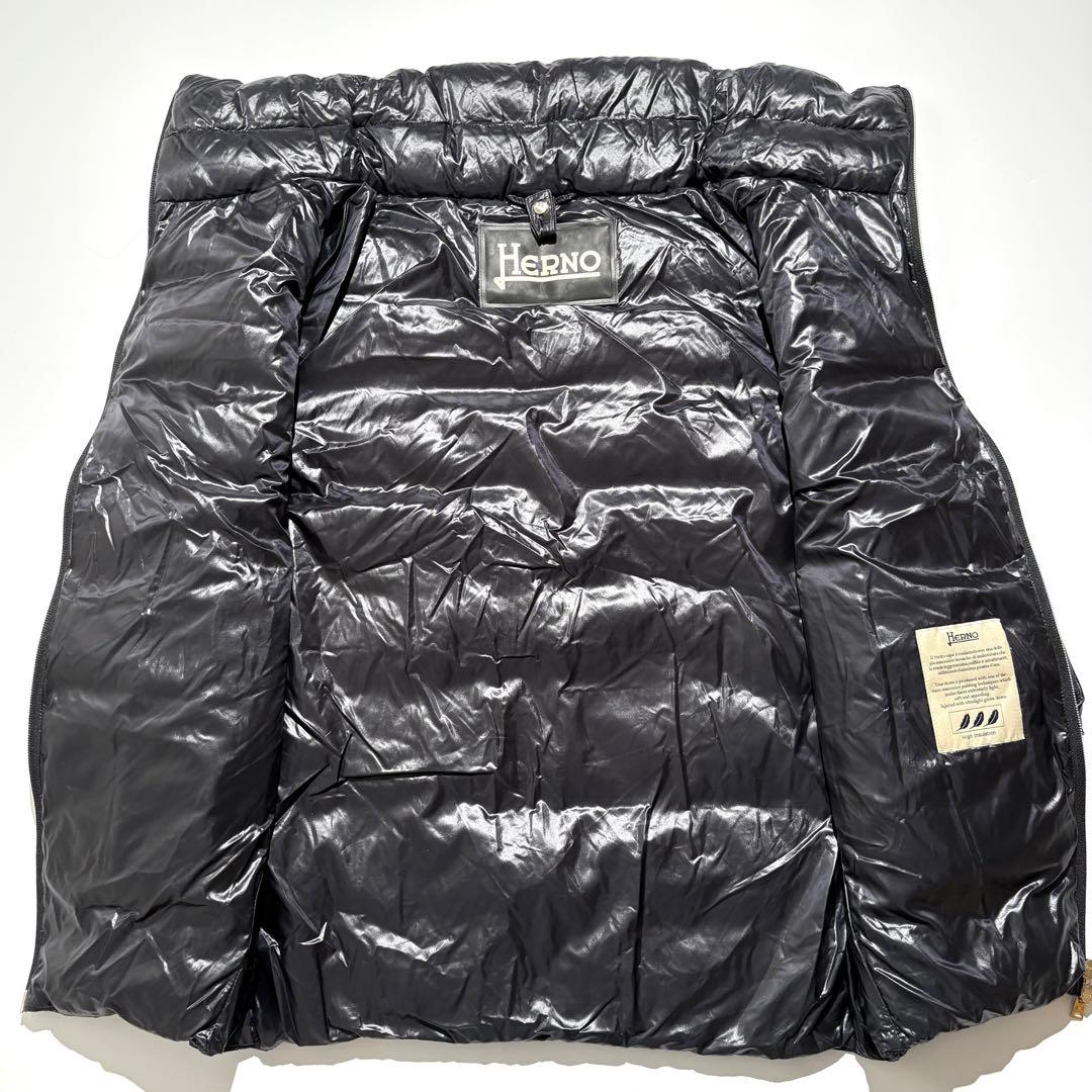 【アームカバー付☆美品】HERNO ダウンジャケット PI0518D 黒 42