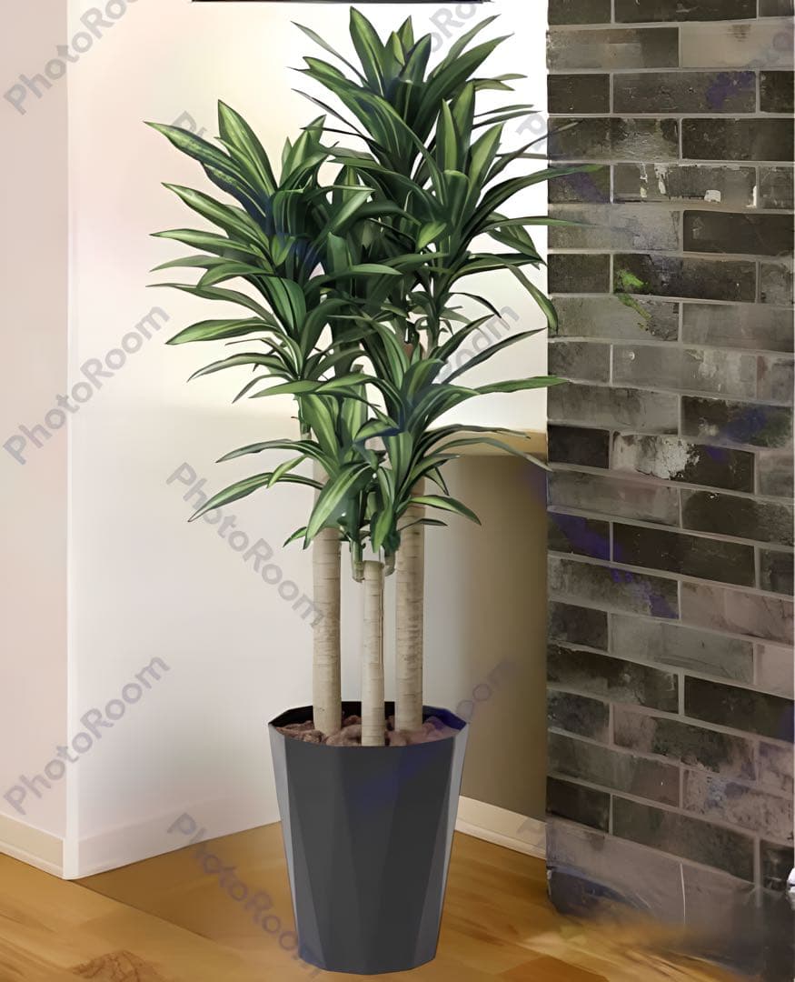 光触媒　人工観葉植物　ウォールグリーン　フェイクグリーン　幸福の木1.8