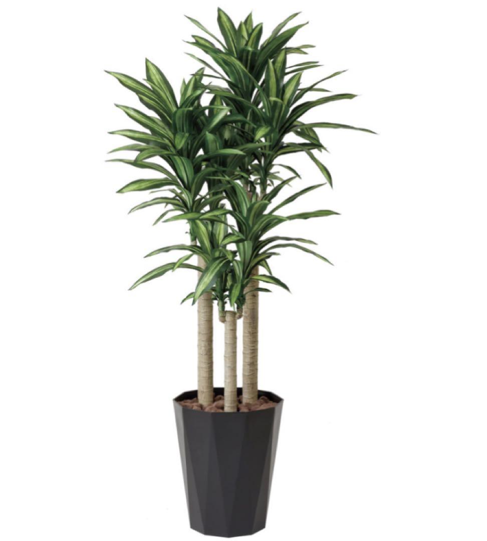 光触媒　人工観葉植物　ウォールグリーン　フェイクグリーン　幸福の木1.8