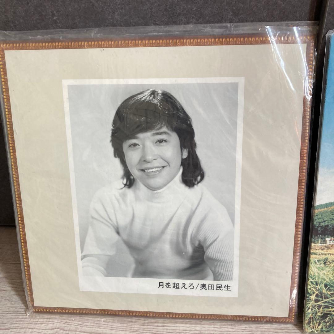 奥田民生　アナログ盤　レコード