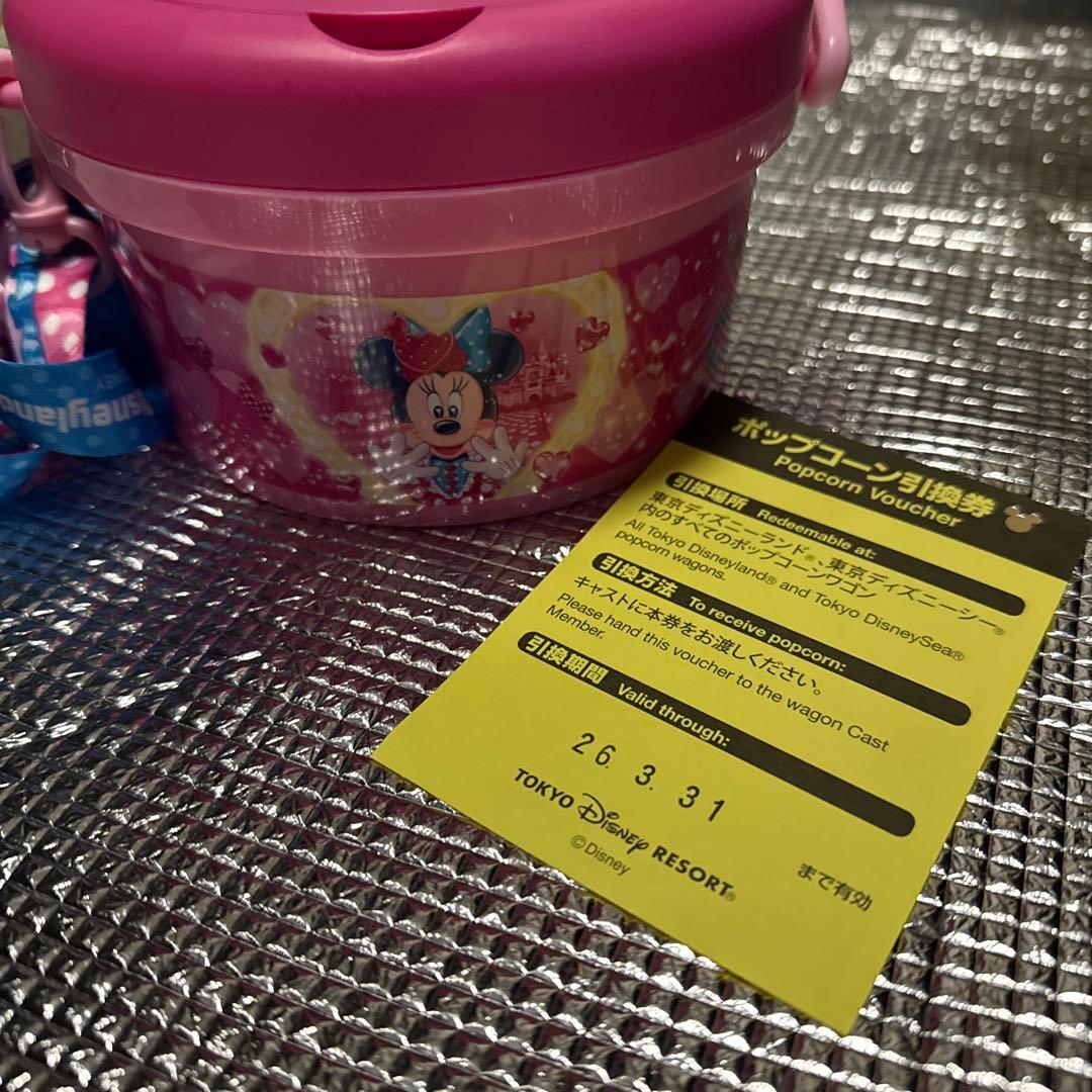 ディズニー・パルパルーザ「ミニーのファンダーランド」ポップコーンバケット（新品）