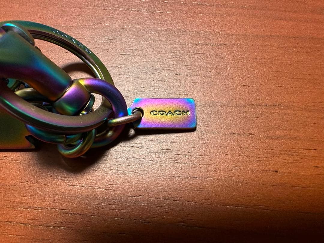 【COACH】コーチ　レキシー　恐竜　チャーム　レインボー